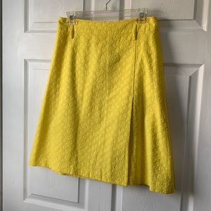Express a-line skirt